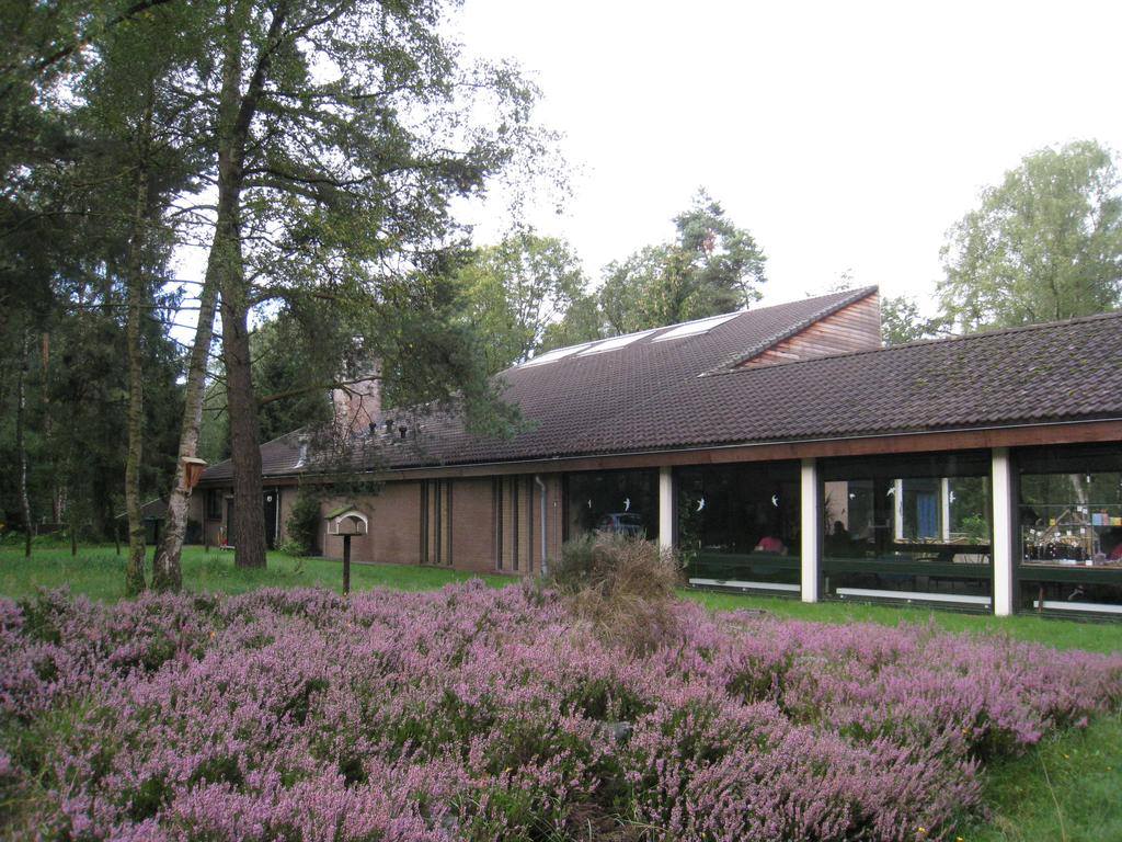 De Bosbeek-achterkant