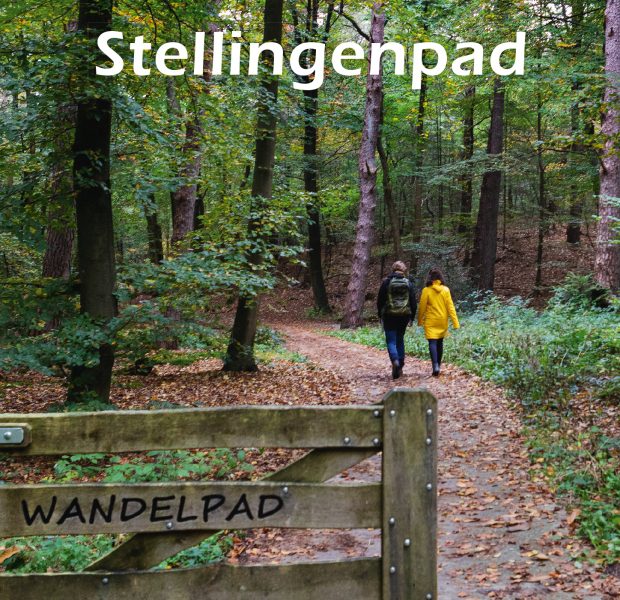 Stellingenpad