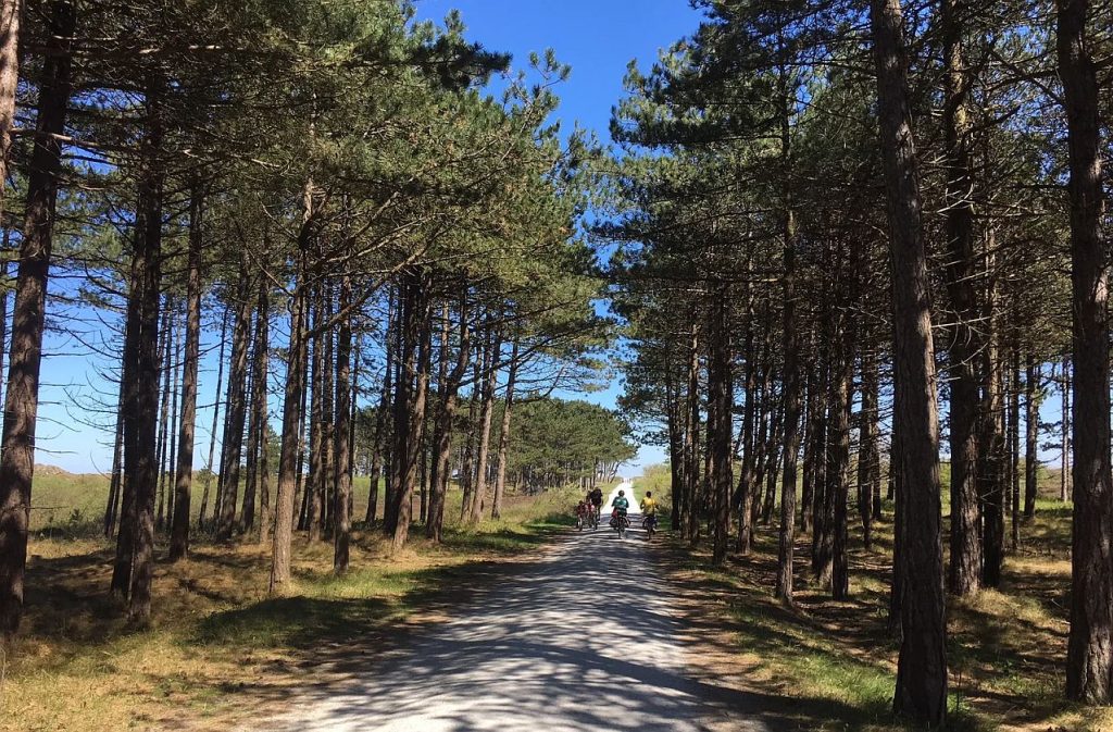 Terschelling fietsen