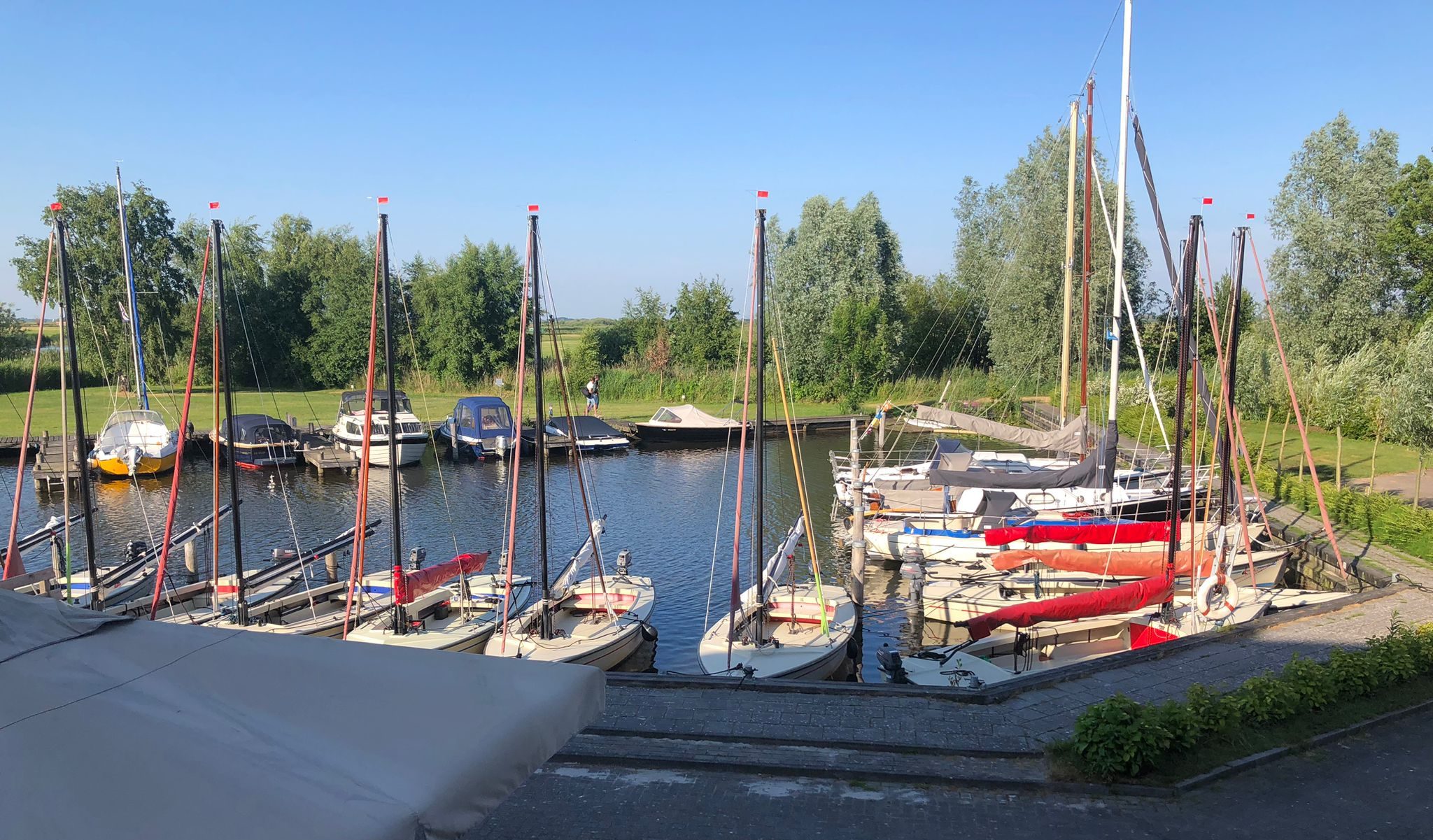 Valken aan steiger IMG-20230618-WA0004