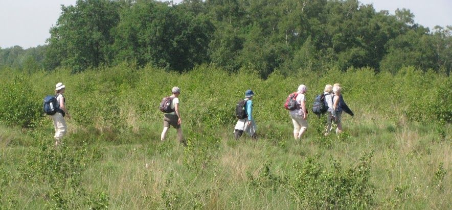 den Broam wandelen omgeving