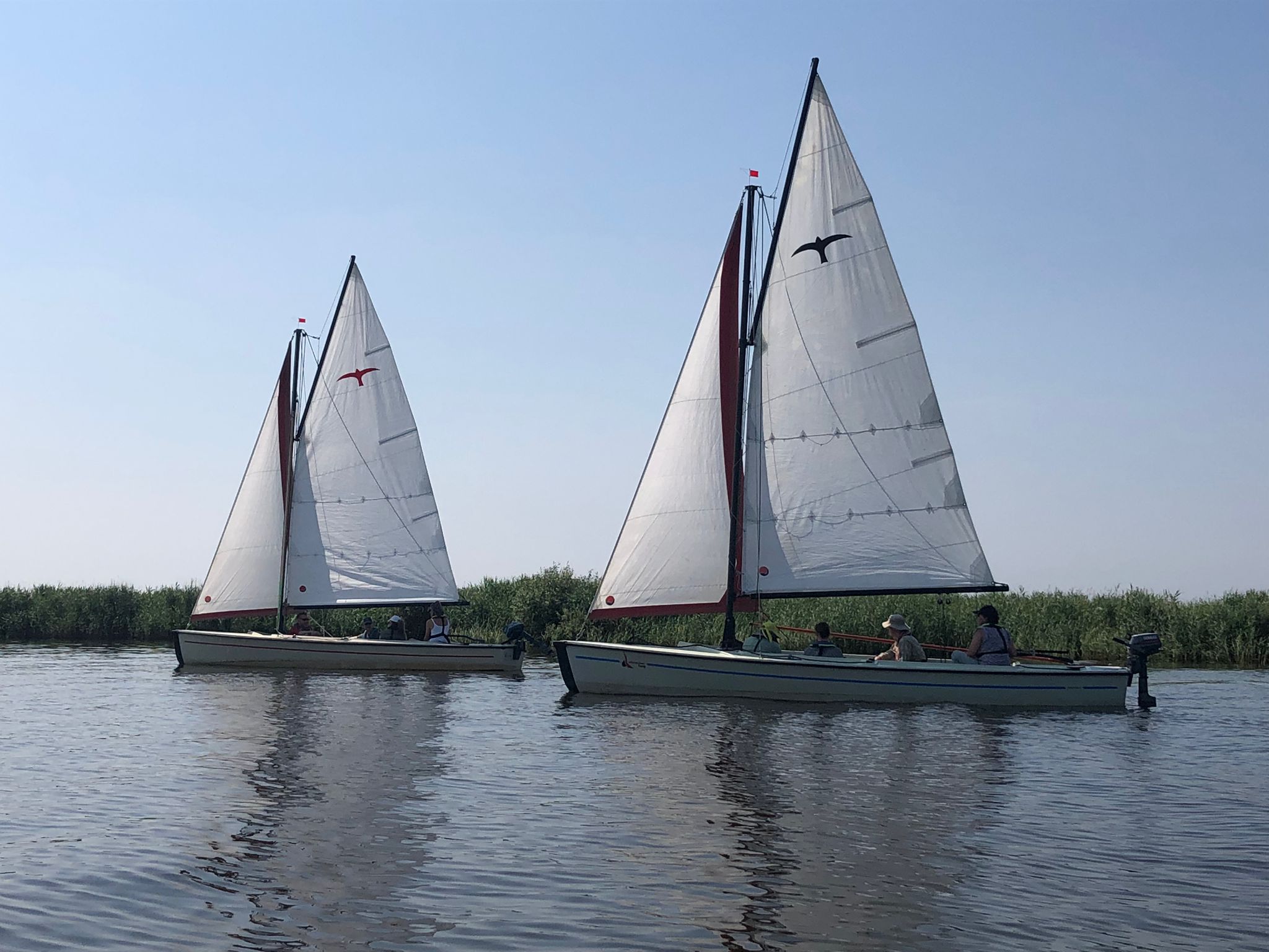 zeilen in Valken IMG-20230618-WA0005