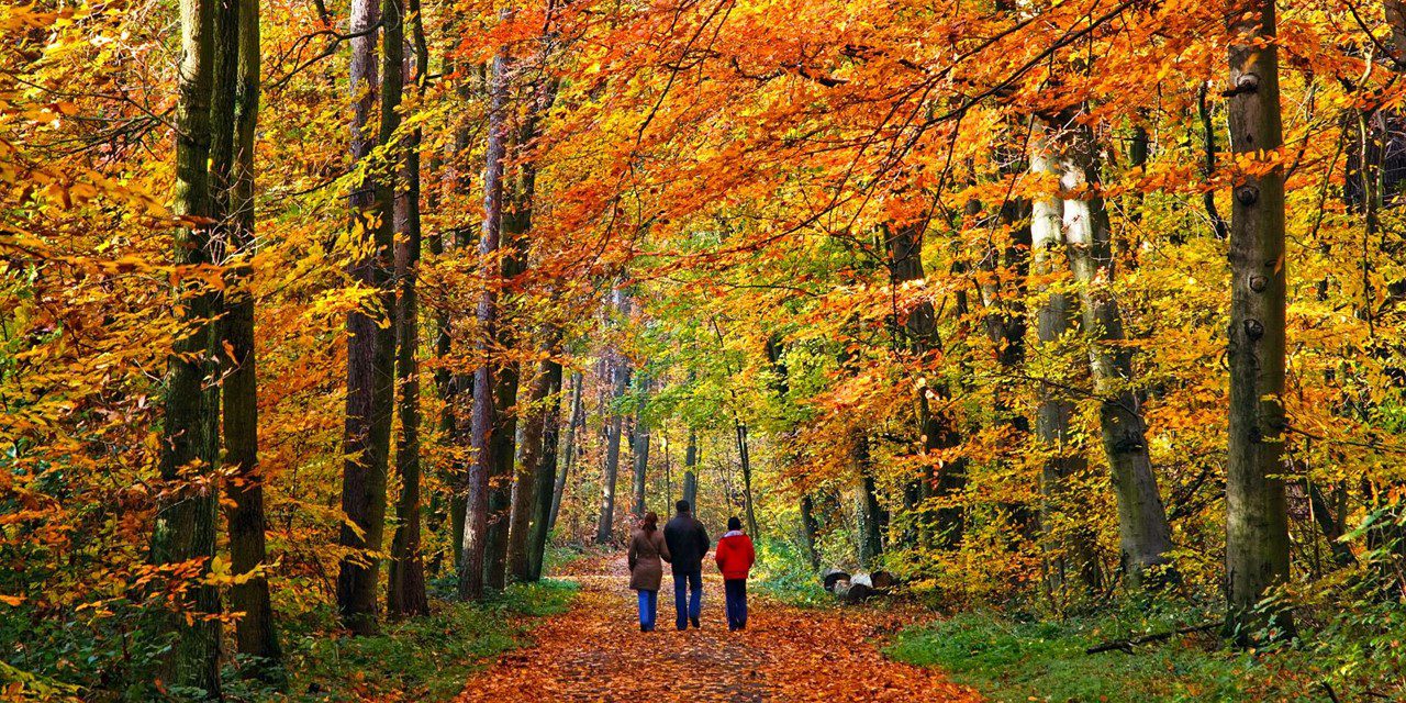 herfst wandelen