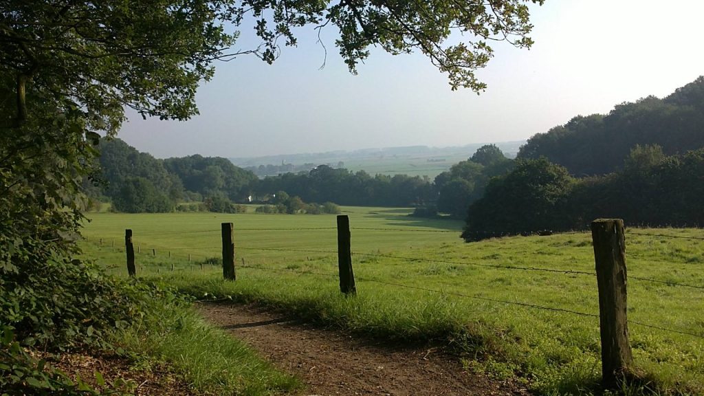 Landschap 1 - Walk of Wisdom