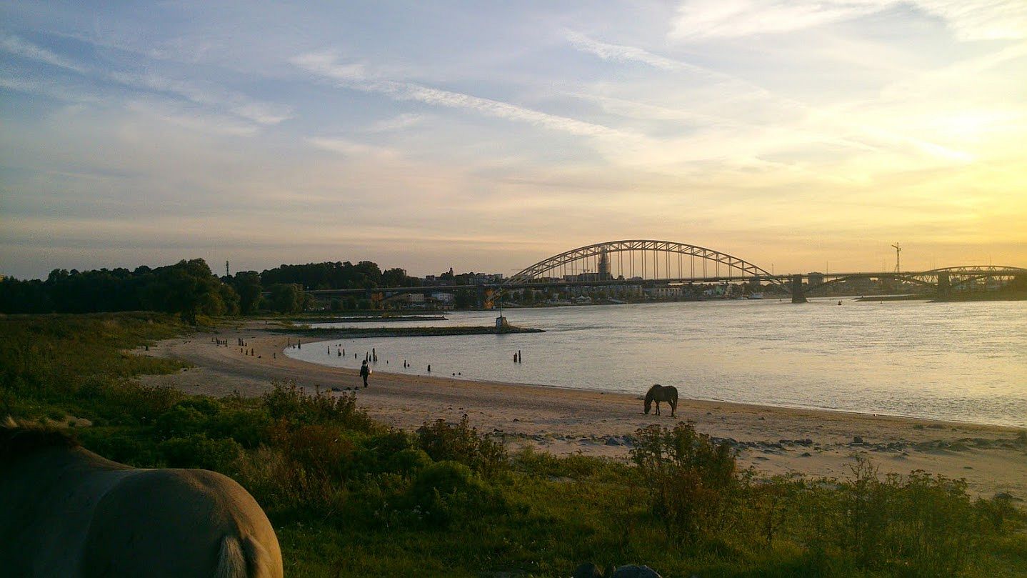 Waalbrug in Nijmegen