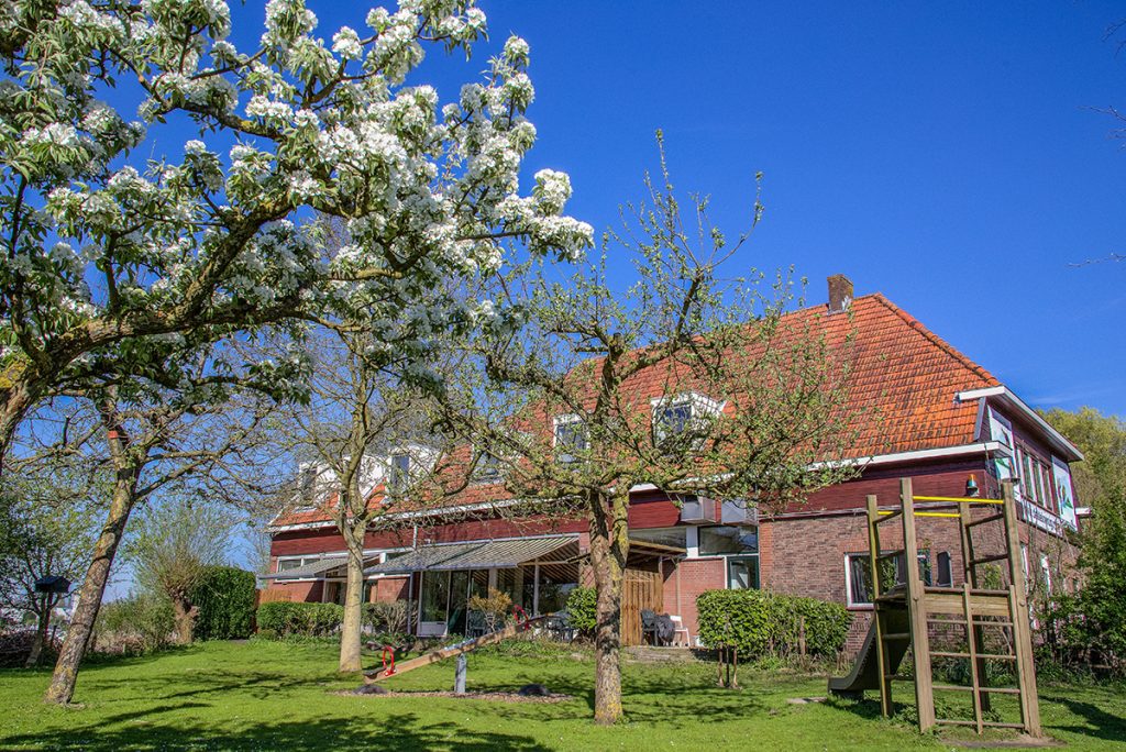de Kleine Rug-huis groot