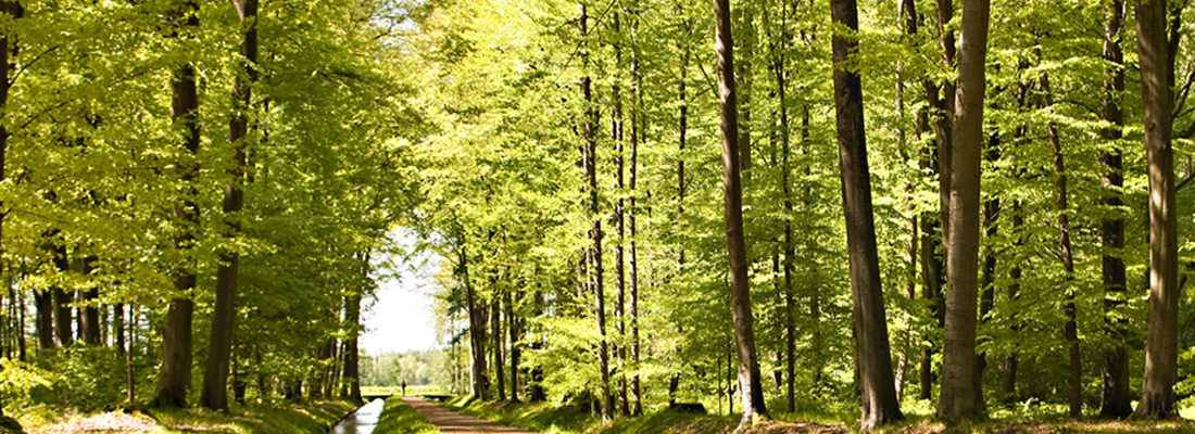 Rahnenhof omgeving