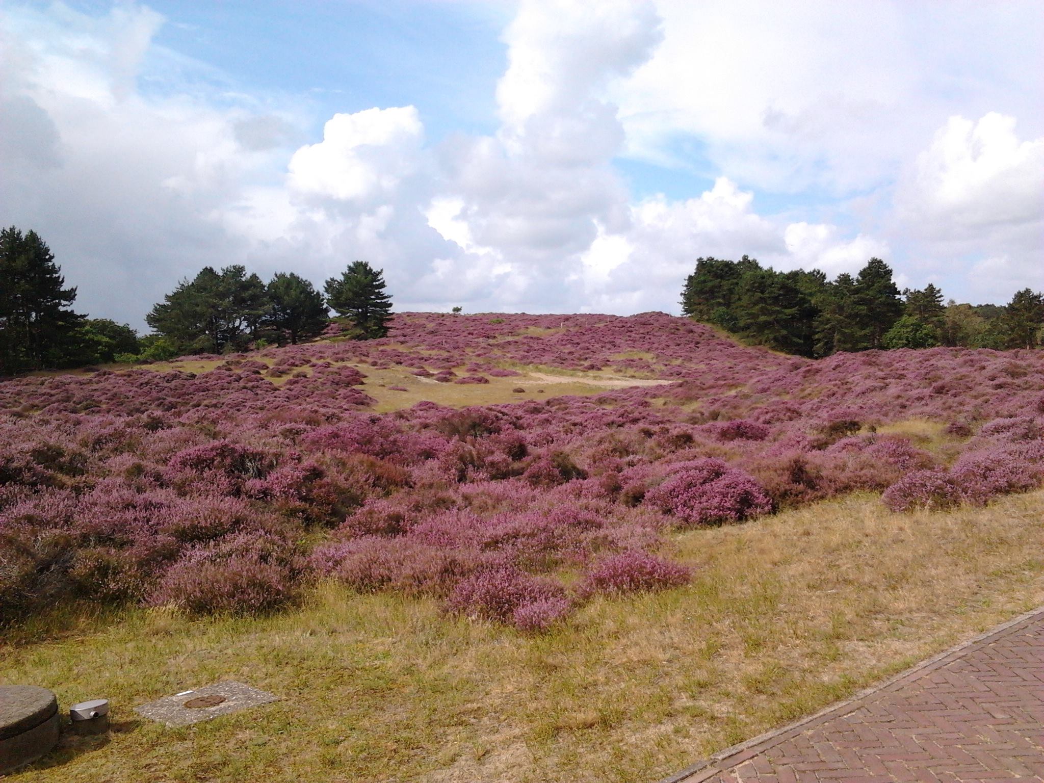 Zeehuis omgeving 2