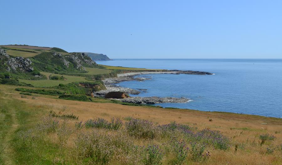 Prawl point to Salcombe