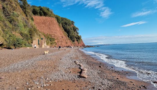 shaldon beach 4
