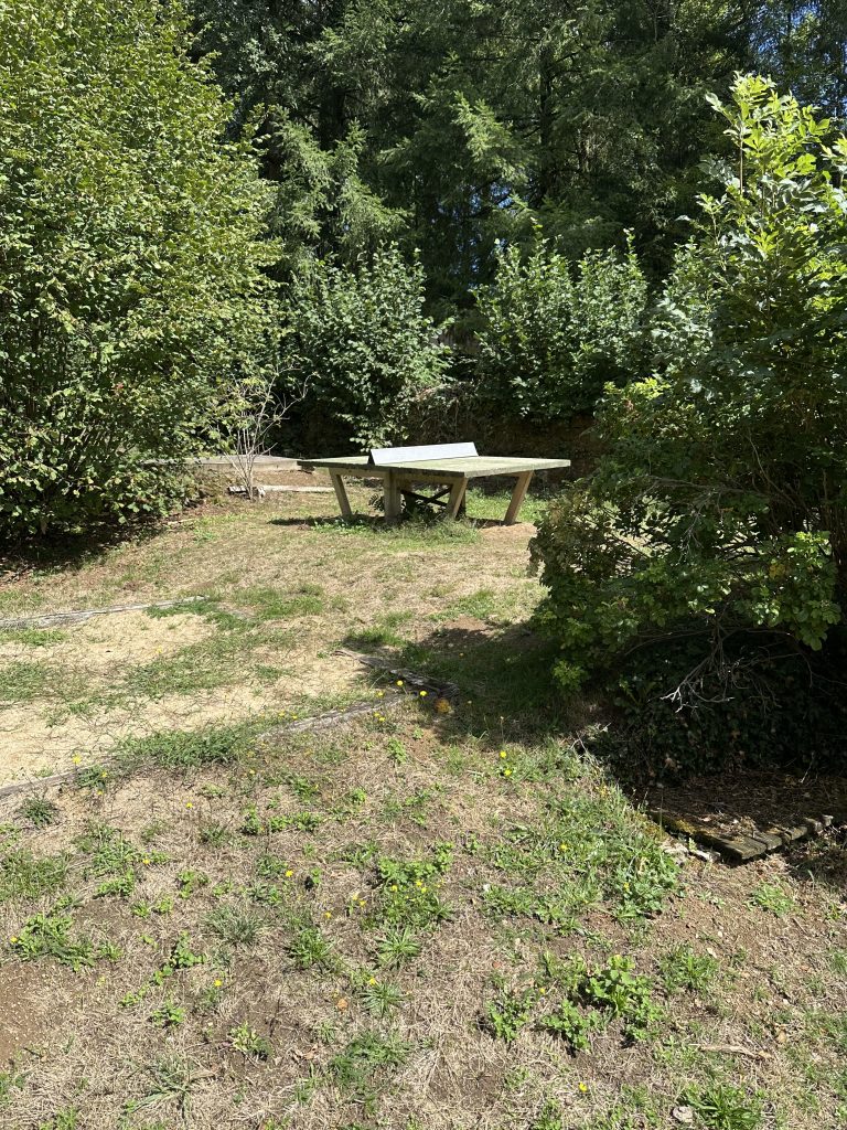 IMG_0450