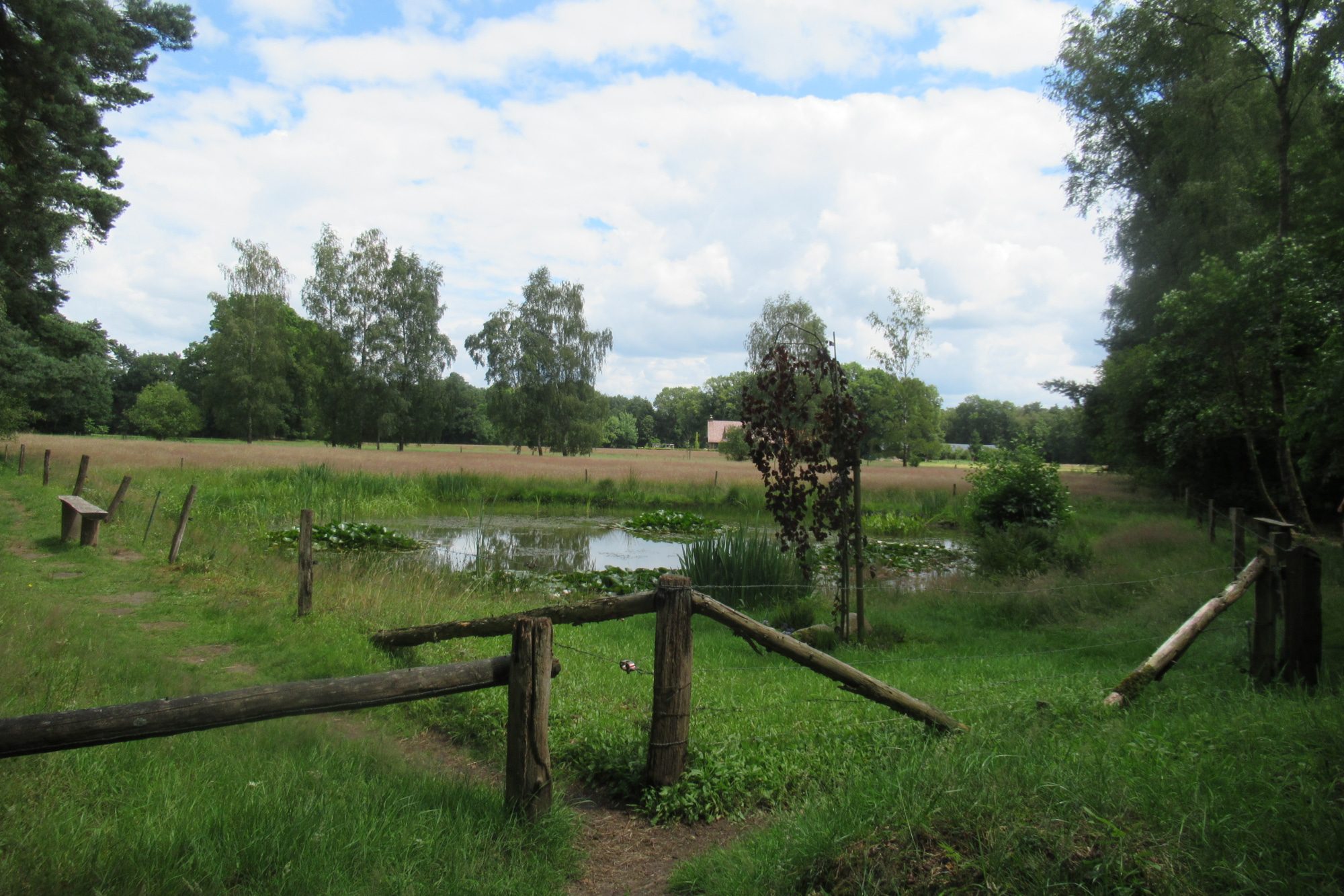 Vitaal Reis wandelen over Twentepad