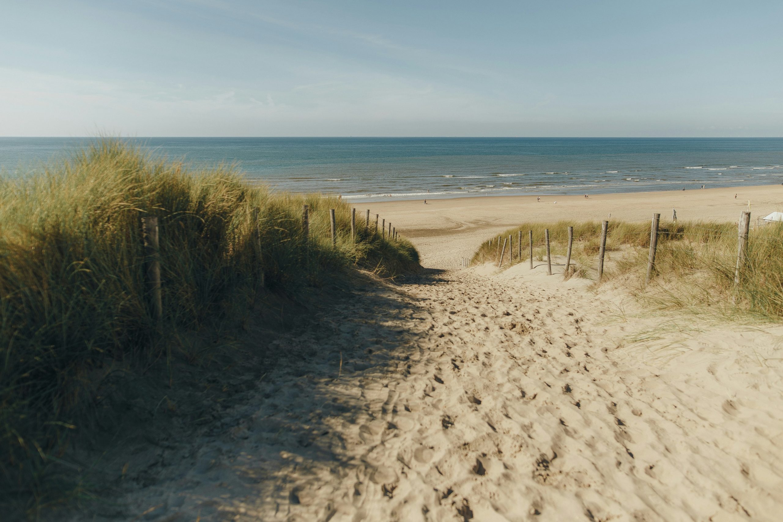 Strand