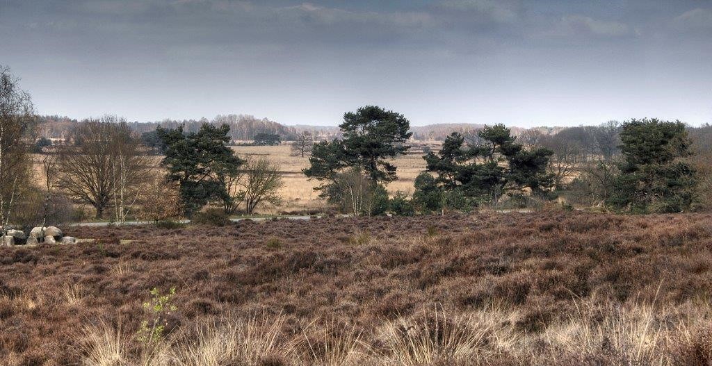 Hunehuis omgeving