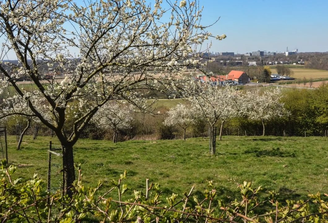 Vitaal Reis wandelen over Krijtlandpad