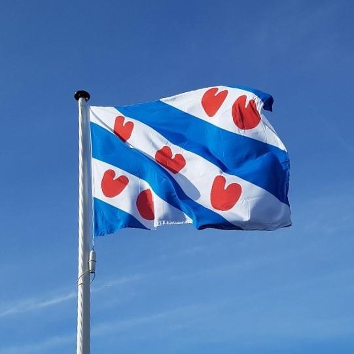 friesland vlag