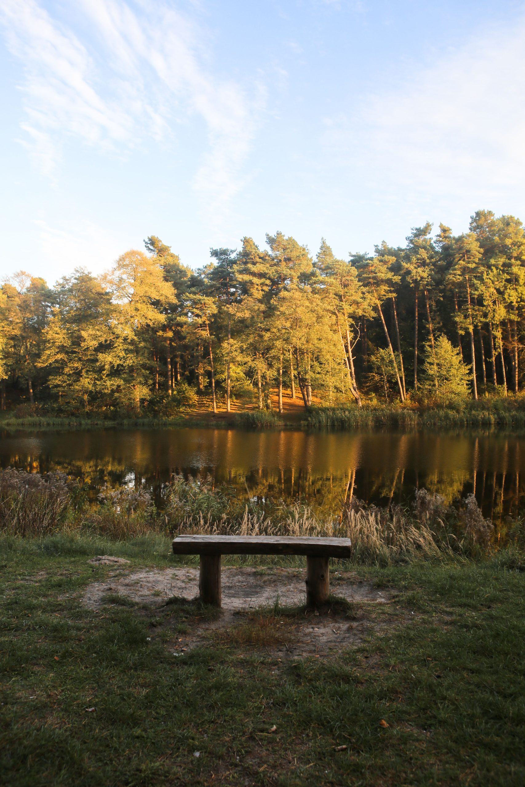 oisterwijkse vennen 2