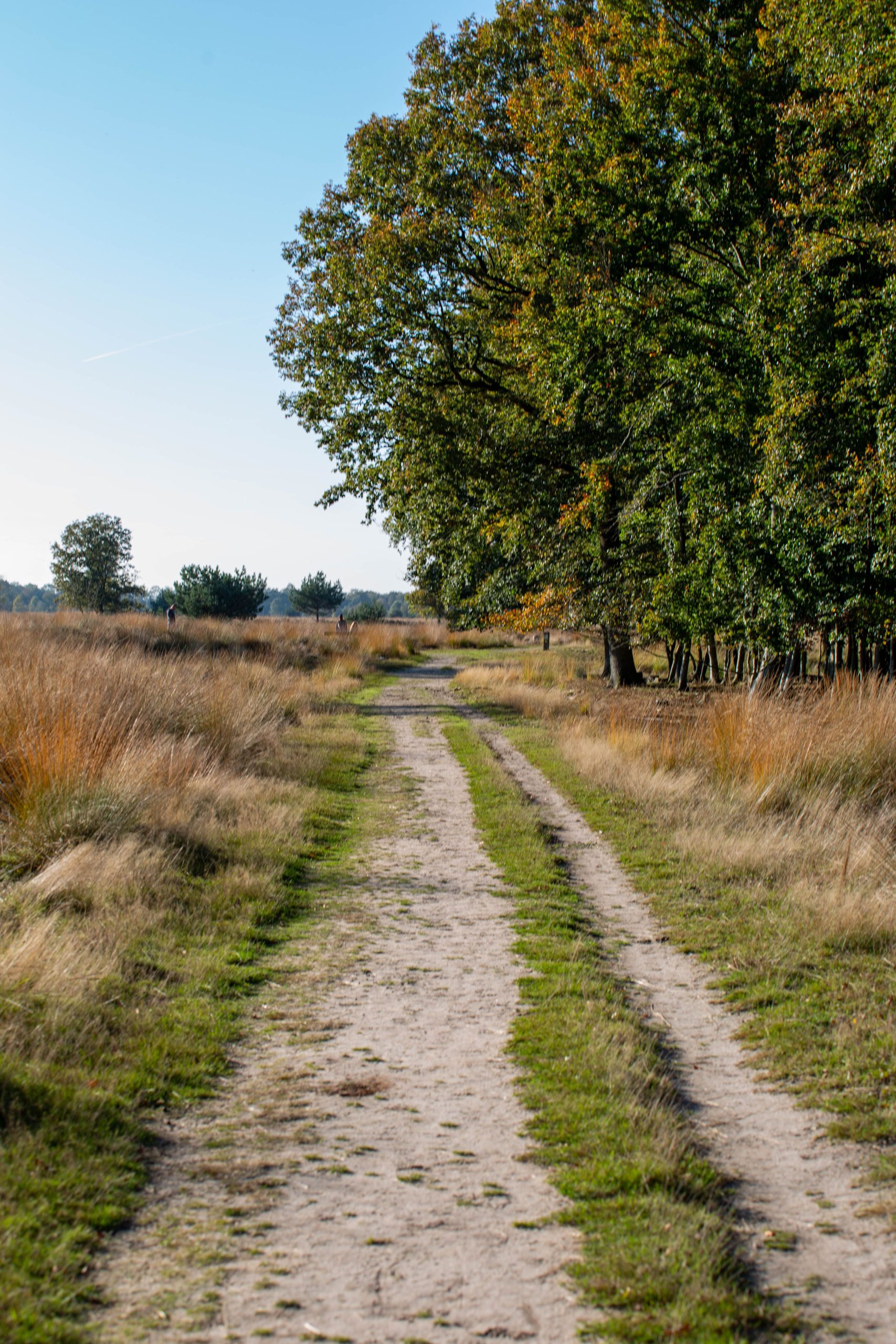 Trekvogelpad natuur - 1
