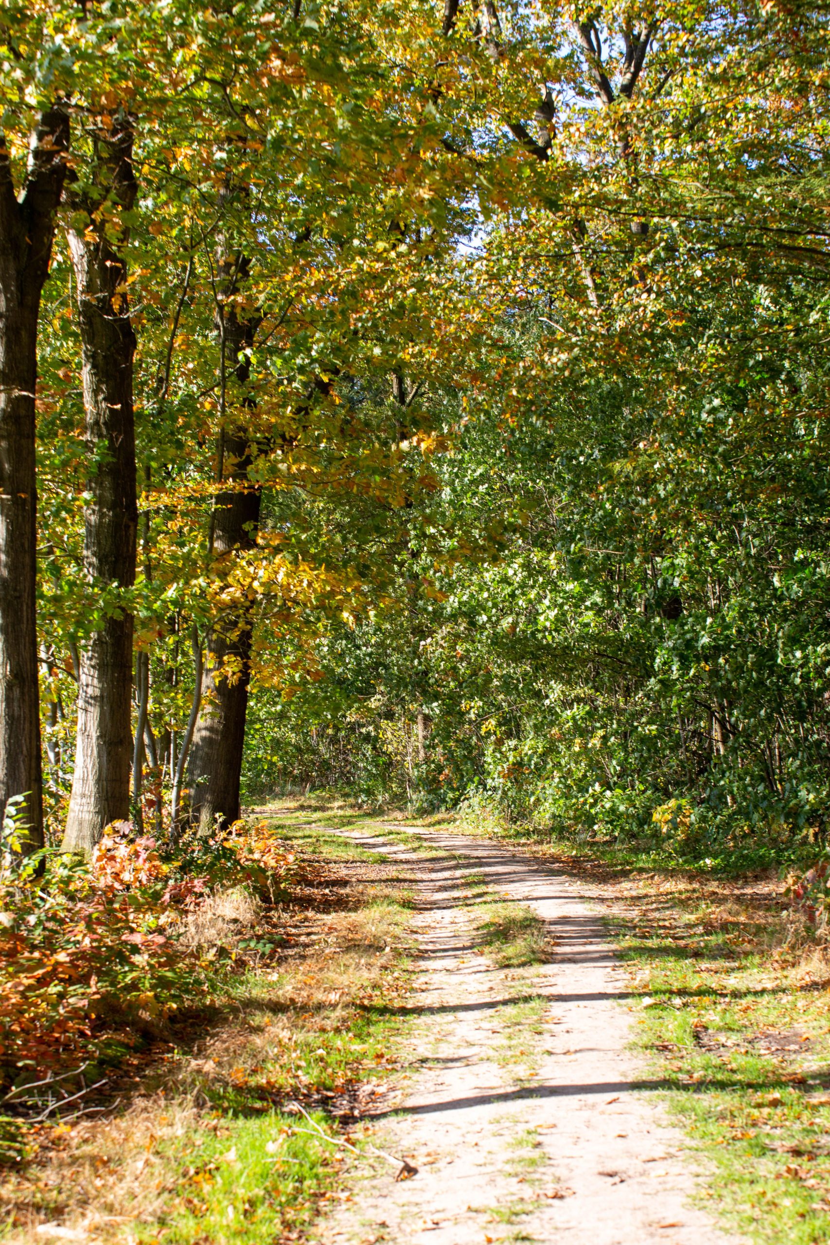 Trekvogelpad natuur - 2